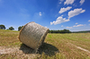 Bales of Hay