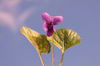 violet and sky