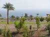 Taba Heights golf course