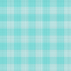 Gingham 12