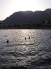 Evening sea