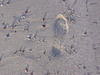 Sand