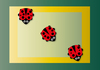 Ladybird 03