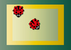 Ladybird 02
