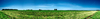 Cultivation