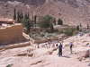 Saint Catherine monastery