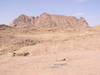 Mount Sinai area