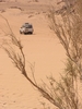 Sinai desert
