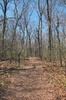 Path