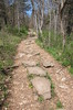 Trail