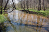 Stream