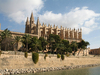 Cathedral of Palma
