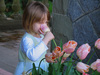 Tulip Girl
