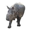Rhino