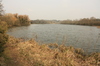 Norfolk Broads