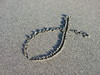 fish symbol