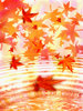 An Autumn Thing 2