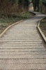Boardwalk