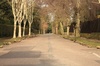 Leafy Norwich backstreet
