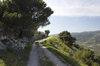 Italian hillside
