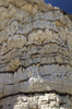 Banded chalk cliff