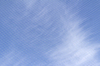 Sky net