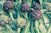 Artichokes 2