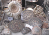Minerals