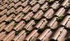 Roof tiles