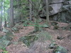 Rocks