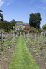 Vegetable garden