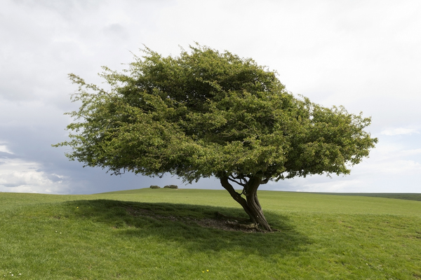 Gratis stock foto's Rgbstock gratis afbeeldingen een