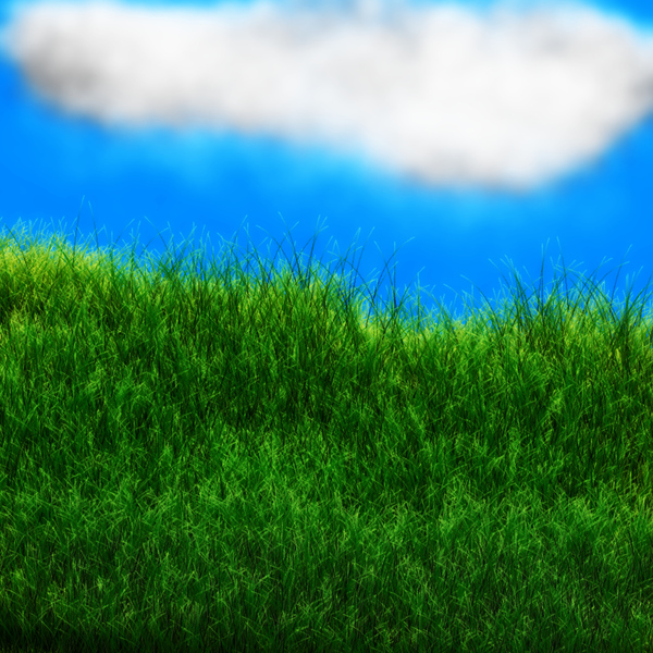 Free stock photos - Rgbstock - Free stock images | cloud and grass