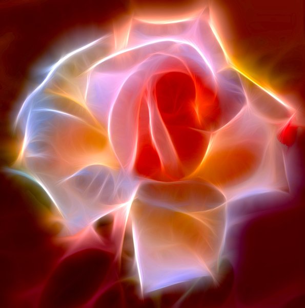Abstract Rose 3
