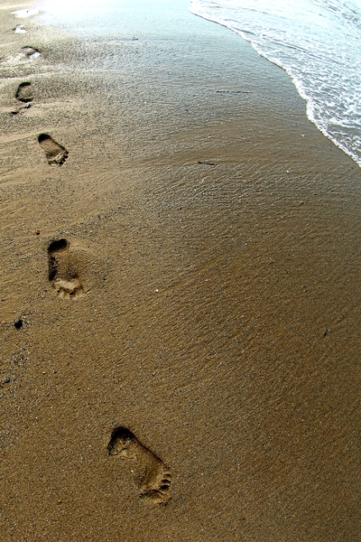 Free stock photos - Rgbstock - Free stock images | Footprints in the ...