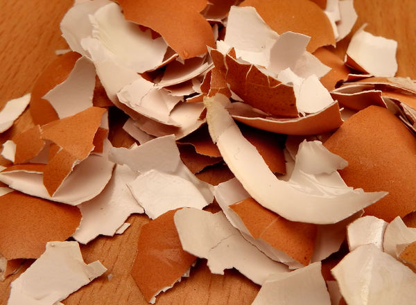 broken eggshells